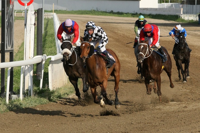 Mogu se naučiti važne lekcije od šaptača konjima