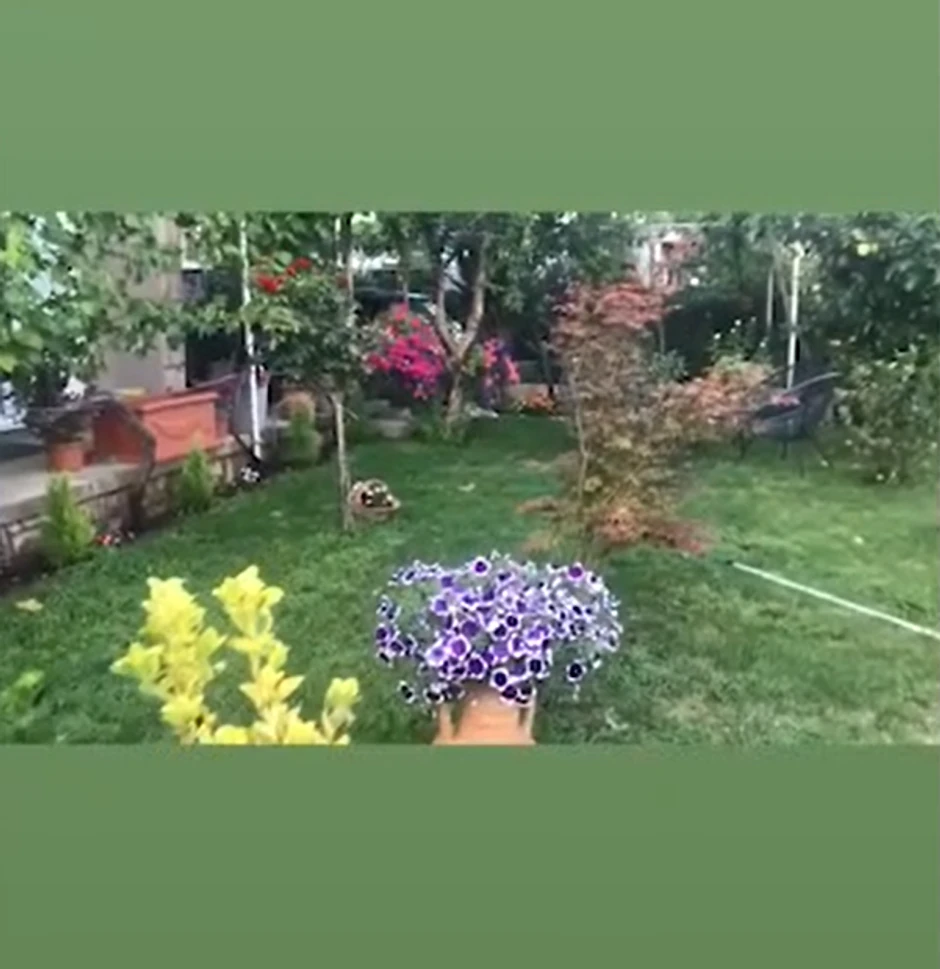 Nataša Ninković, imanje