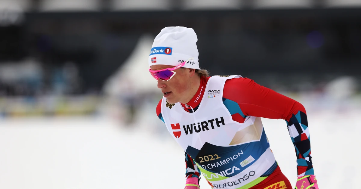 Mistrz olimpijski po ukąszeniu trafił do szpitala. "To był latający, agresywny, gigantyczny potwór