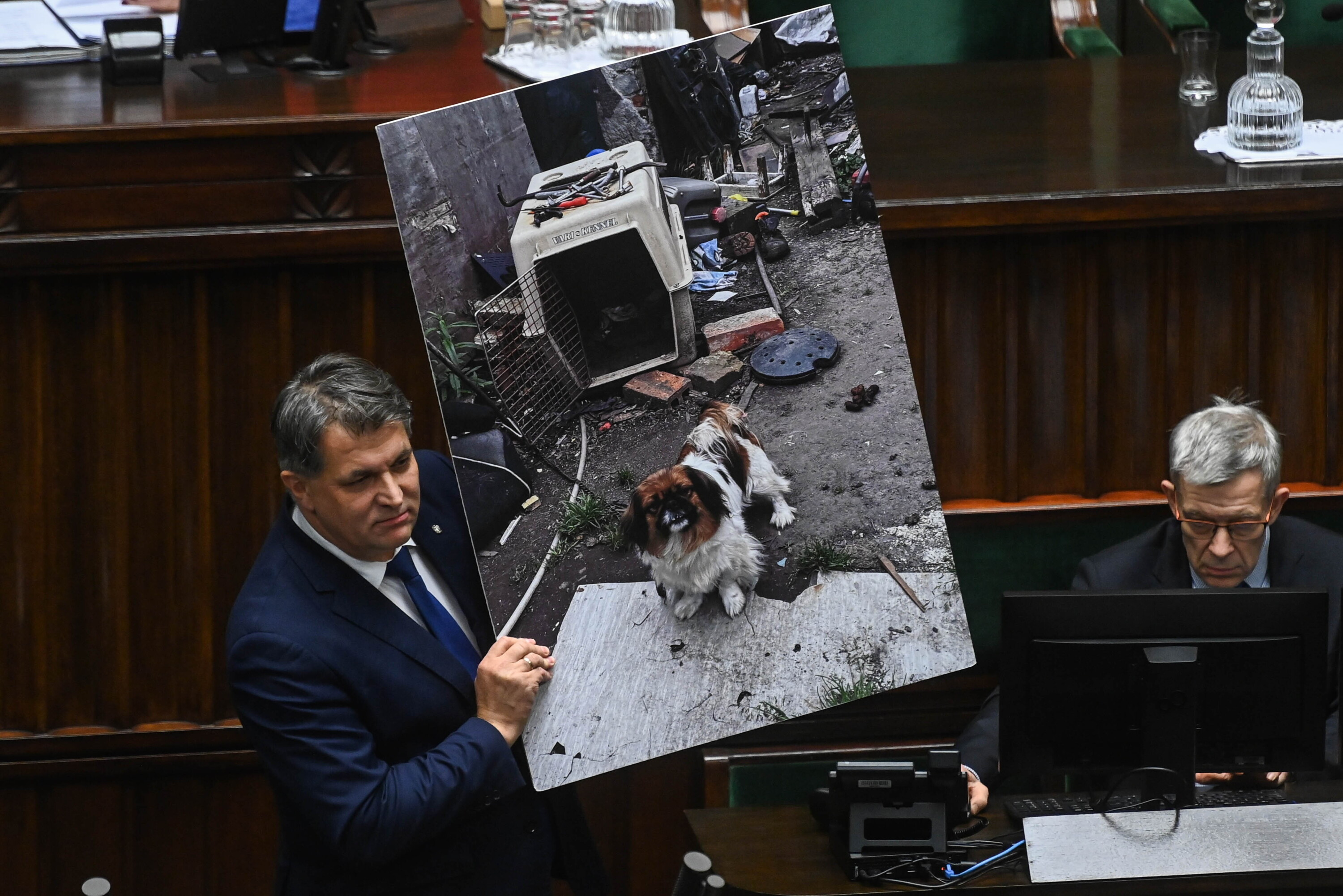 Nawrocki wetuje zakaz łańcuchów dla psów – chce go dla wszystkich zwierząt