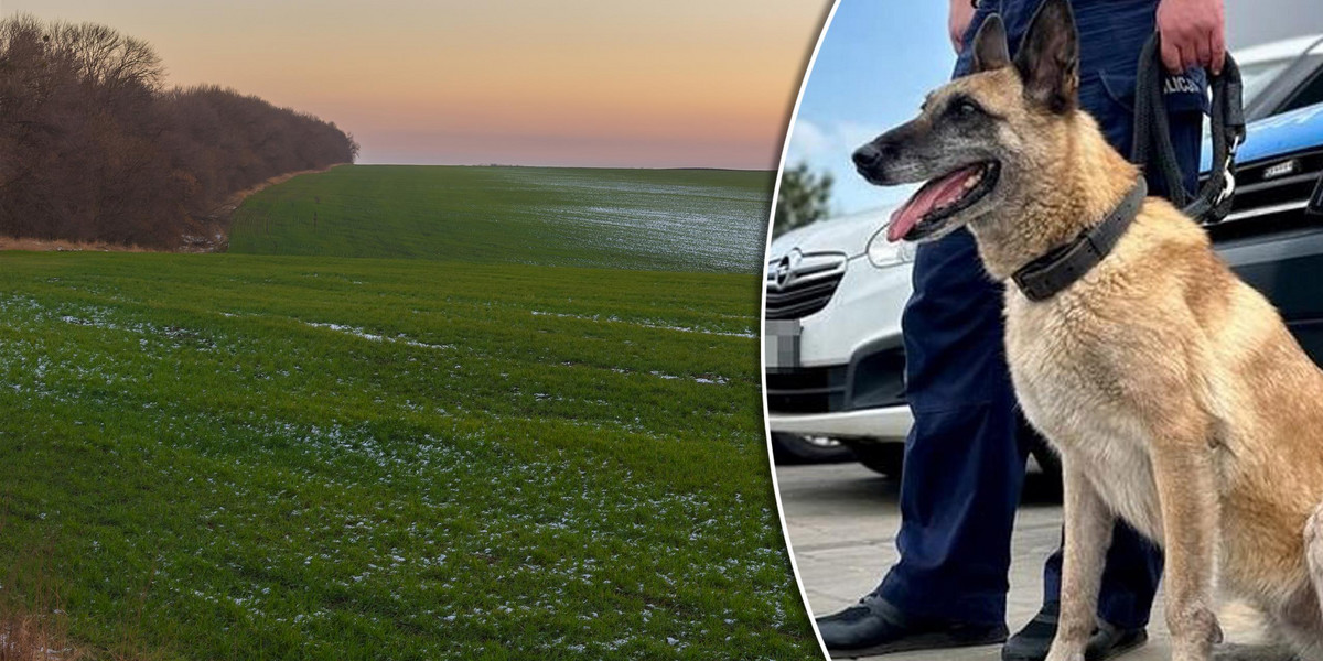 Wejherowo. Zaginięcie 14-latki. Leżącą w trawie dziewczynkę znalazł pies.