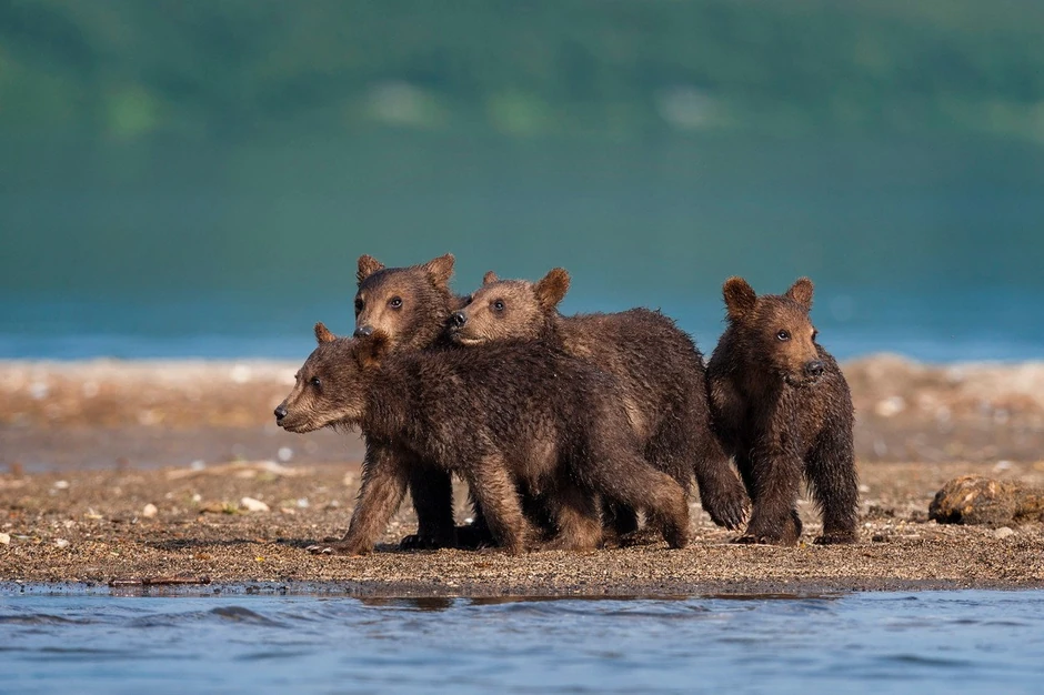 Kliknite za uvećanje (+)