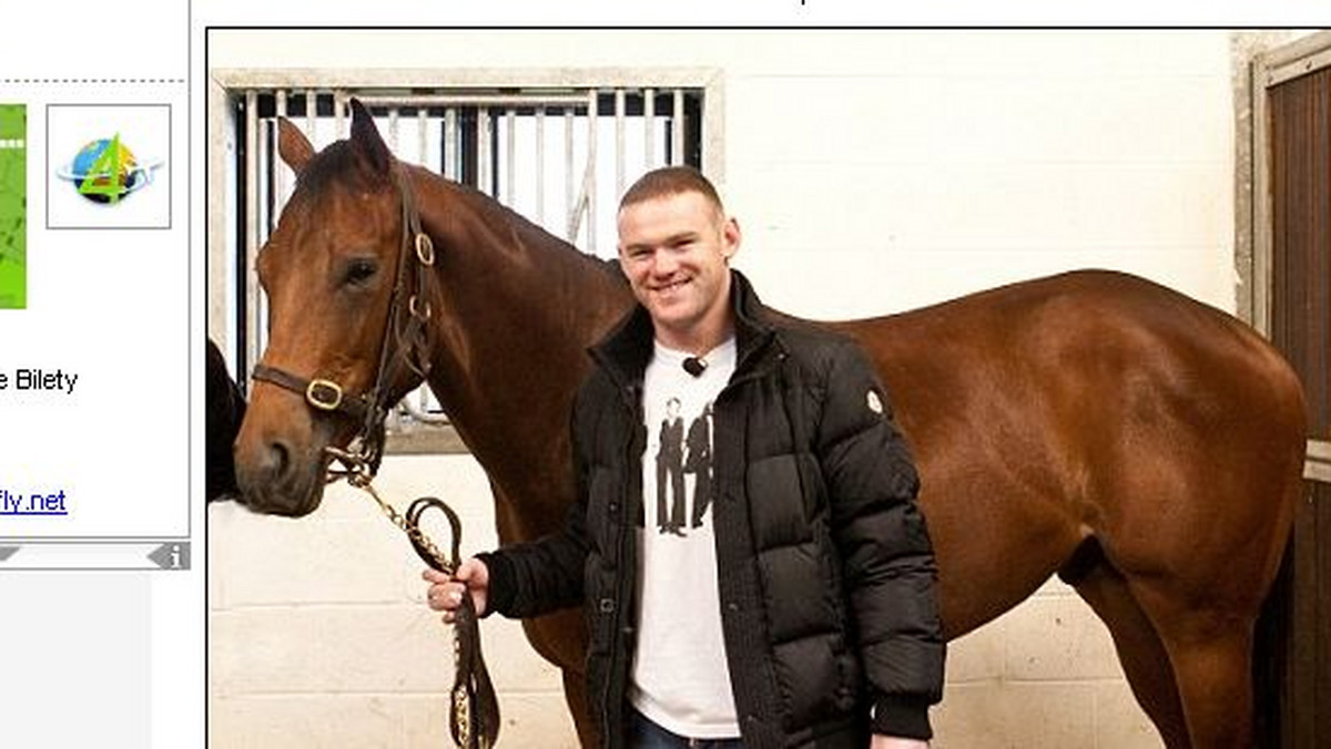 Wayne Rooney, gwiazda Manchesteru United i reprezentacji Anglii, kupił konia wyścigowego.