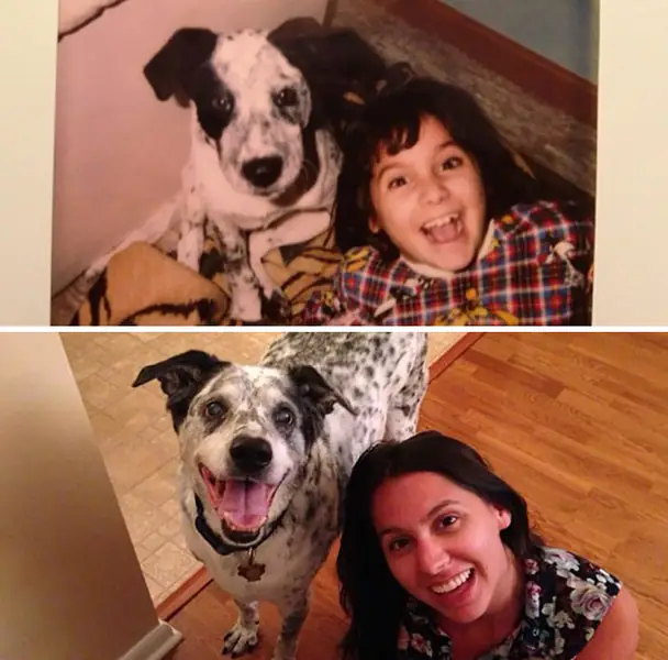 before-after-dogs-growing-up-together-with-owners-48-5825ba7c79e2c__700