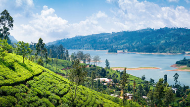 Sri Lanka – plaże, herbaciane pola i zielone wzgórza