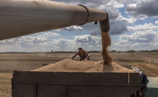 Problem ze wznowieniem eksportu ukraińskiego zboża. Chodzi o marynarzy