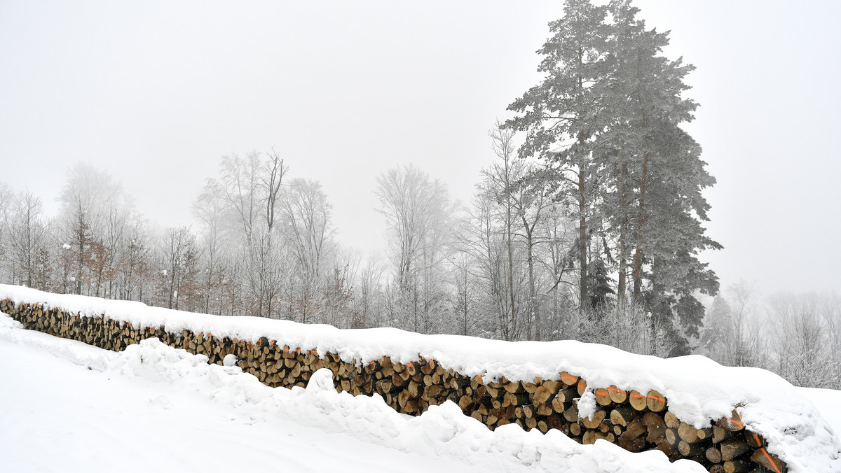 Jaka pogoda w 22 lutego w czwartek? Według prognozy, dziś w dalszym ciągu kształtował wyż znad północy Europy. W większości regionów prognozowane są przejaśnienia i rozpogodzenia. Słabe opady śniegu możliwe są tylko na południu i wschodzie Polski, tam też pojawi się więcej chmur.