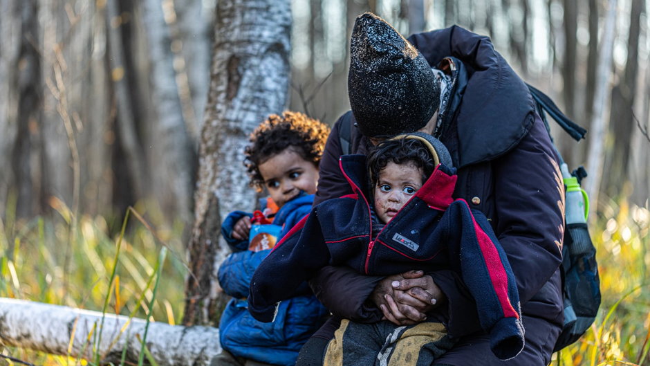 Rodzina cudzoziemców znaleziona w lesie przy granicy z Białorusią