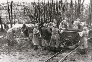 Germany, III. Reich, 1933-45: Concentration camps (KZ) /Women inmates working at the concentration camp near Ravensbruck, Germany. Undated photograph. 1943/44