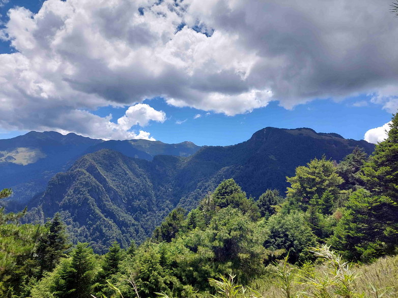 Tajwańskie góry / kolekcja własna