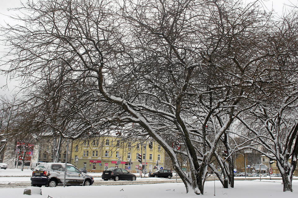 Bielsko-Biała