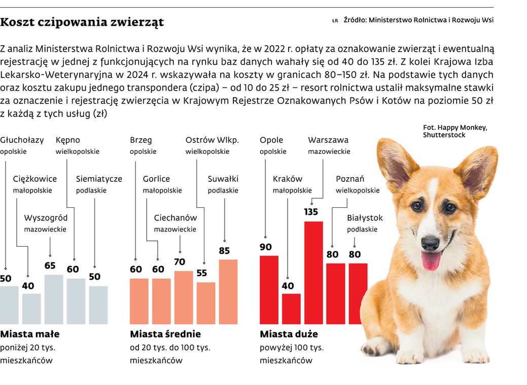Koszt czipowania zwierzat