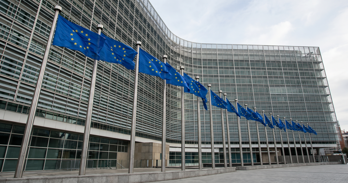 Warum-Siemens-Manager-als-EU-KI-Berater-f-r-Emp-rung-sorgt