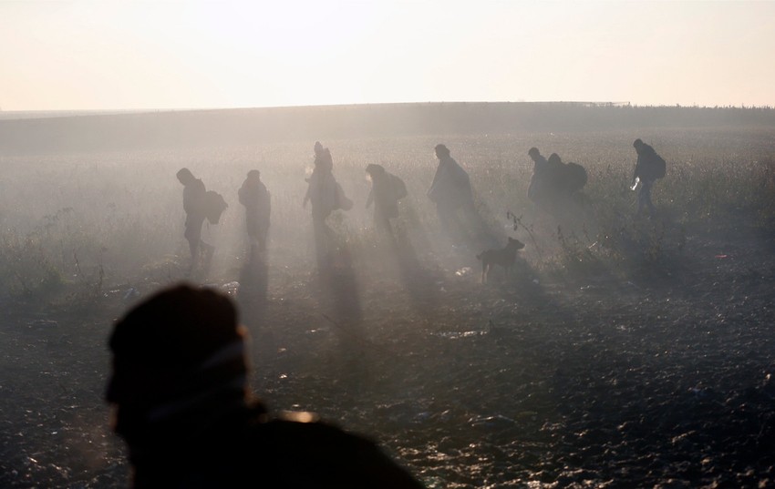 Migranti prelaze preko polja i voćnjaka