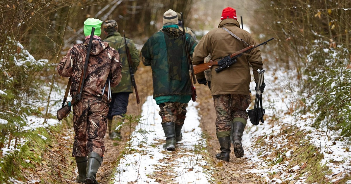 Dramatyczne postrzelenie podczas polowania. Strzeliła do spacerowiczów