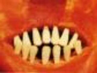 Roberto Bolano '2666' - recenzja