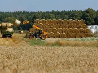 ePlantator łączy funkcjonalności aplikacji pogodowych, lokalizatora i planera