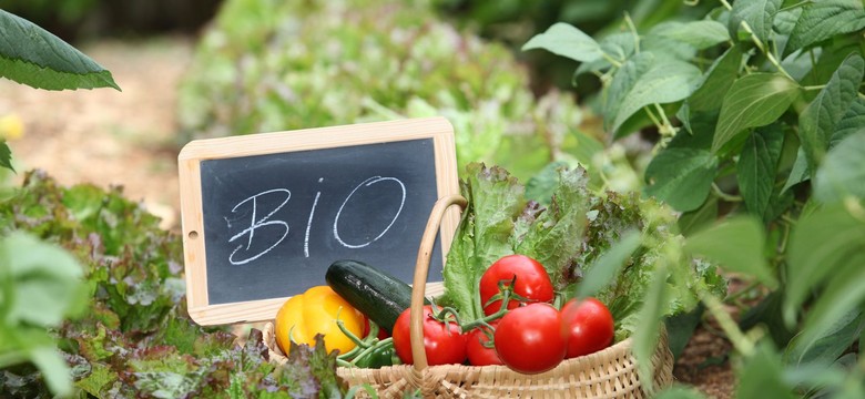 Ekologiczna żywność to samo zdrowie? Biolog obala mity: Wcale nie jest taka dobra dla nas i środowiska