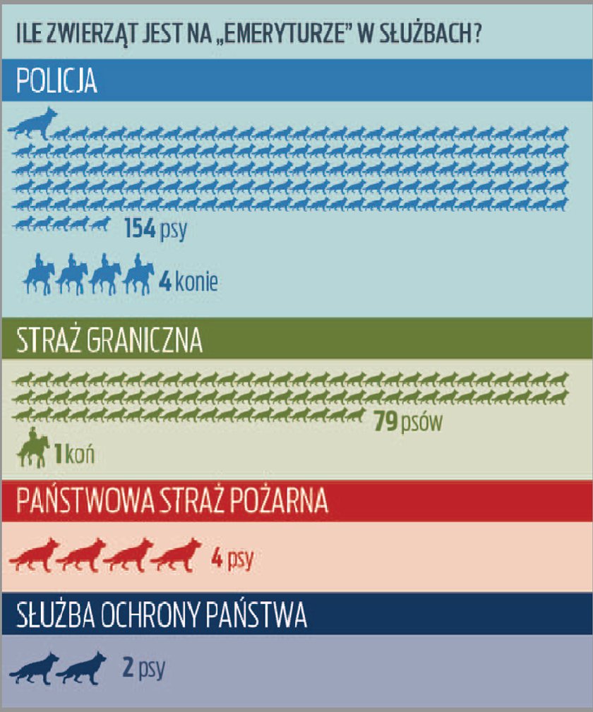 Ile zwierząt objętych jest państwową emeryturą?