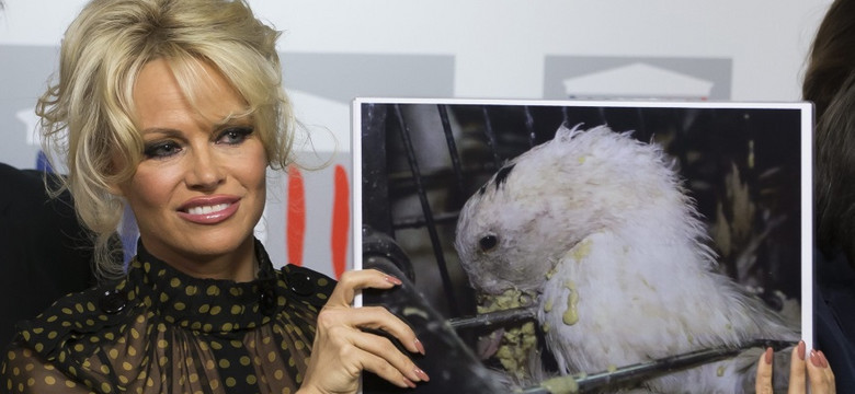 Usta zaczynają niedomagać, reszta w formie. Pamela Anderson we francuskim parlamencie