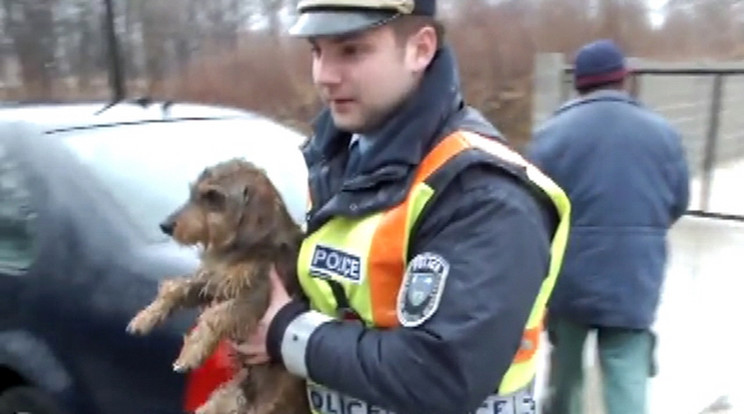 Ezt az édes kiskutyát dobták ki / Fotó : police.hu