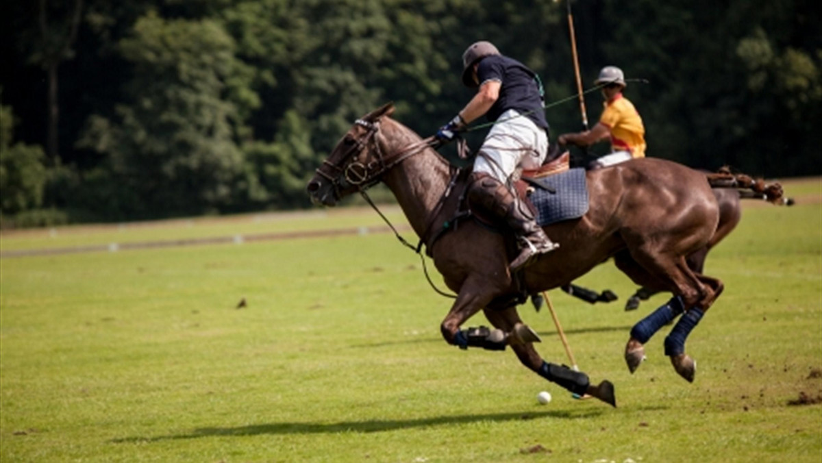 Irlandia po raz pierwszy w historii wywalczyła mistrzostwo Europy w polo. W finale zespół z najbardziej zielonej wyspy Starego Kontynentu pokonał Francję 7:4. Powody do radości mogą mieć również debiutujący w imprezie biało-czerwoni.