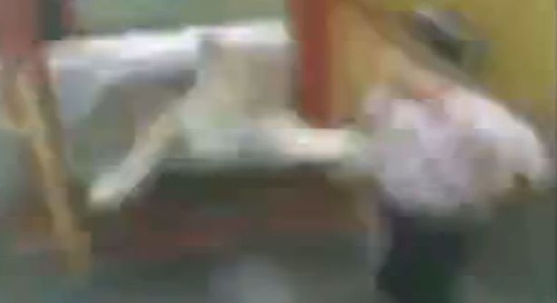 Attack: Blurry footage show the lion snatch at the child's coat