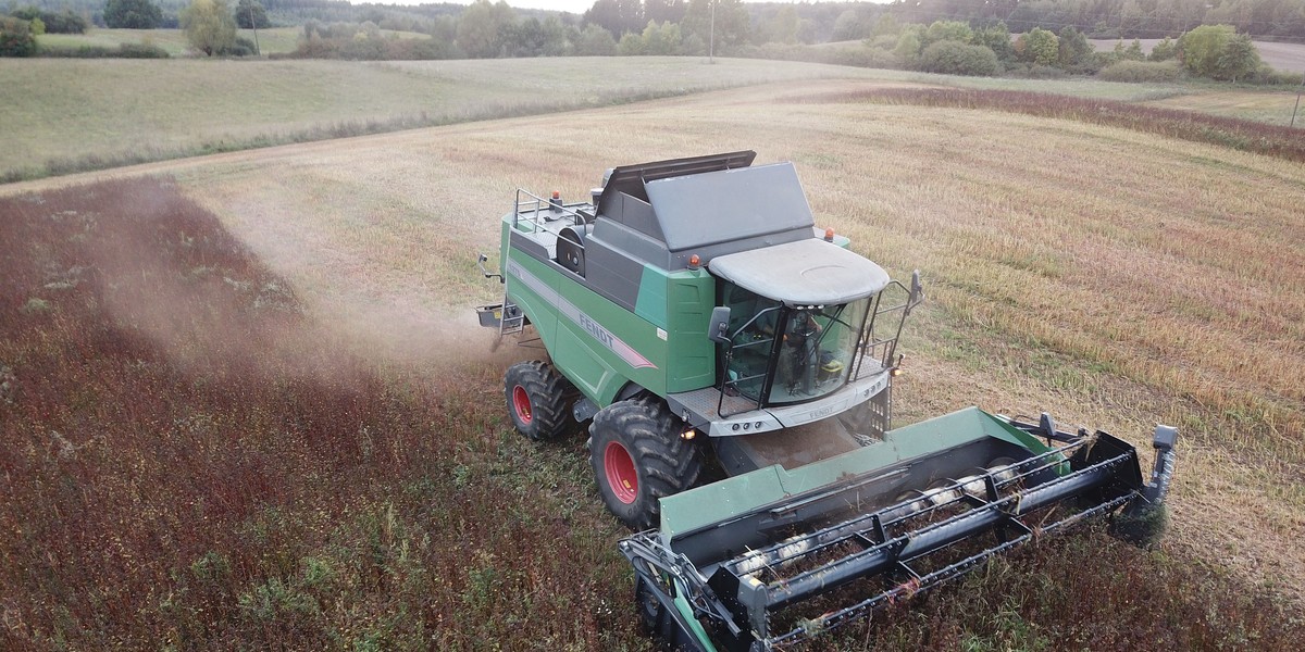 Jesienne prace polowe bywają niebezpieczne. Do kombajnu wchodzi się po śliskich, metalowych drabinkach. Zdjęcie ilustracyjne.