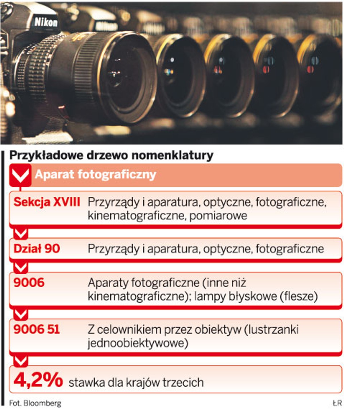 Przykładowe drzewo nomenklatury