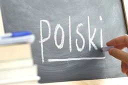 Matura 2024: Co to jest błąd kardynalny i co za niego grozi? [PRZYKŁADY]