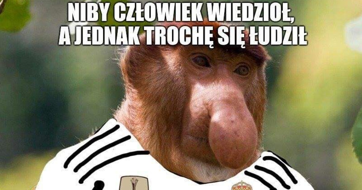 Картинки мемы 2014