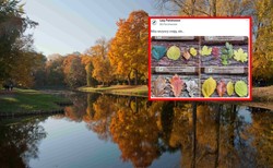 Lasy Państwowe opublikowały kilka wskazówek. Internauta: Teraz przyszykuję zemstę!