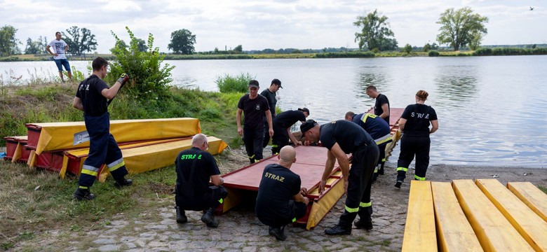 Lewica składa wniosek do NIK o przeprowadzenie kontroli ws. katastrofy ekologicznej na Odrze