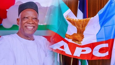 APC National Chairman, Abdullahi Adamu. [Punch}