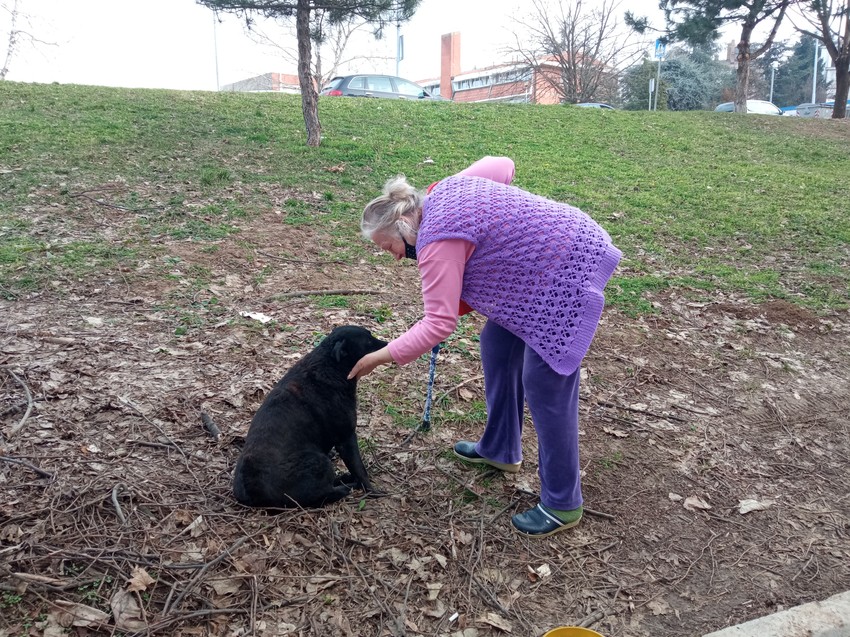 Sremčica, otrovani psi 2