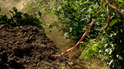 Odkrywcy "złotego pociągu" zapowiadają dalsze poszukiwania. Wznowią prace jesienią