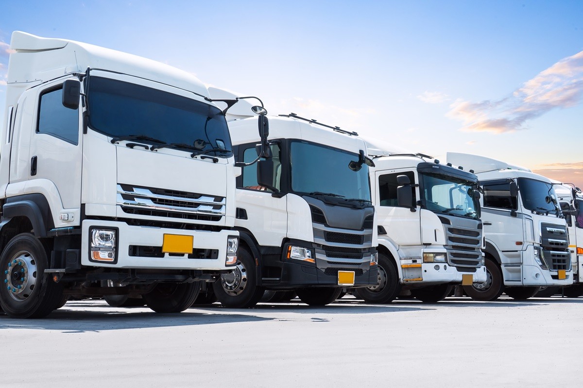 kary transport międzynarodowy odwołanie