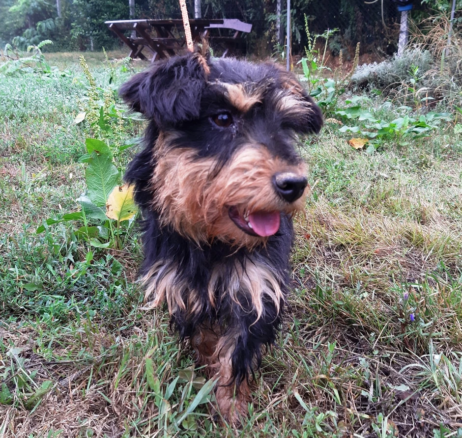 Teri je stara godinu i po dana