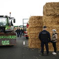 Trwają protesty rolników. Tak wygląda sytuacja we Francji i Włoszech