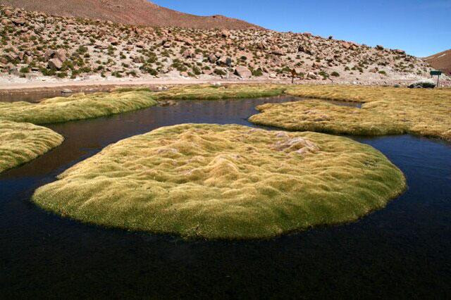 Galeria Chile - Atacama, obrazek 55