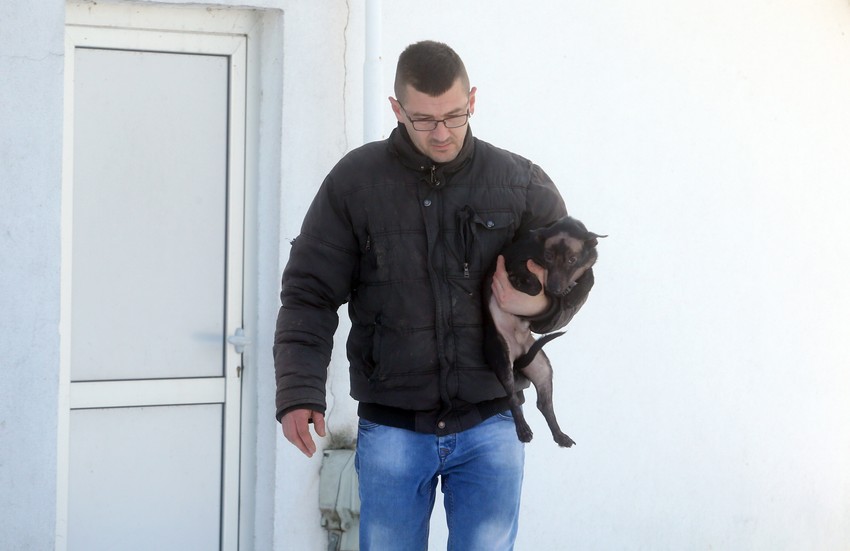 Goran Milojević se godinama brine o napuštenim životinjama