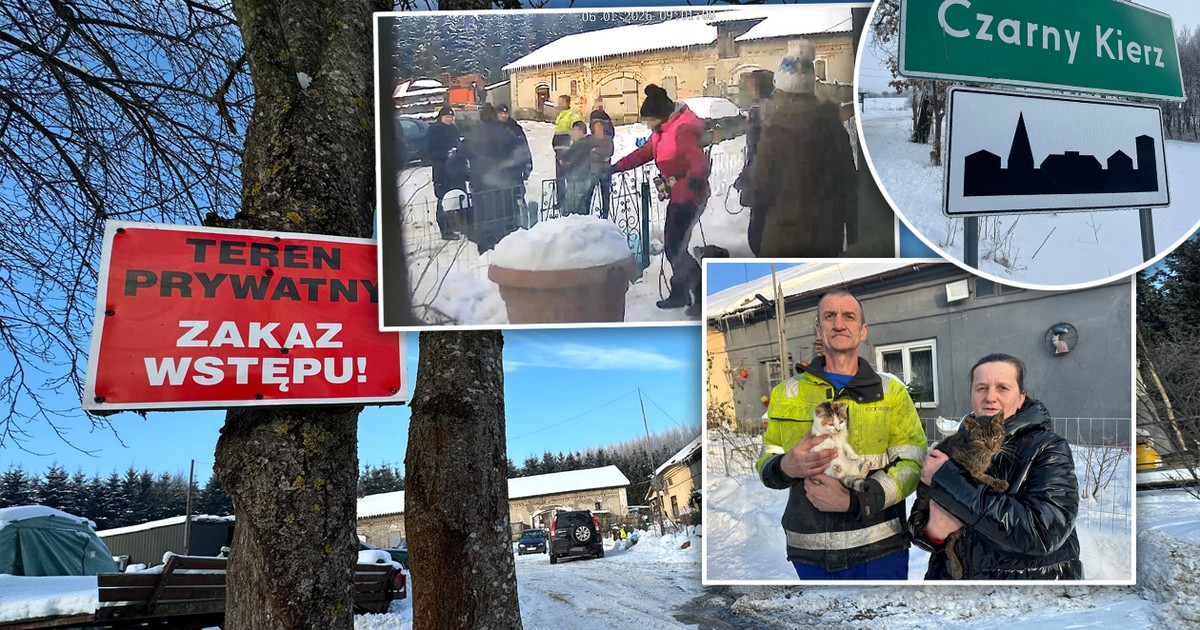 Kradzież psów: Aktywiści z szlifierkami