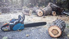 Einhell, Makita oder Bosch? Beliebte Kettensägen mit Akku im Vergleich