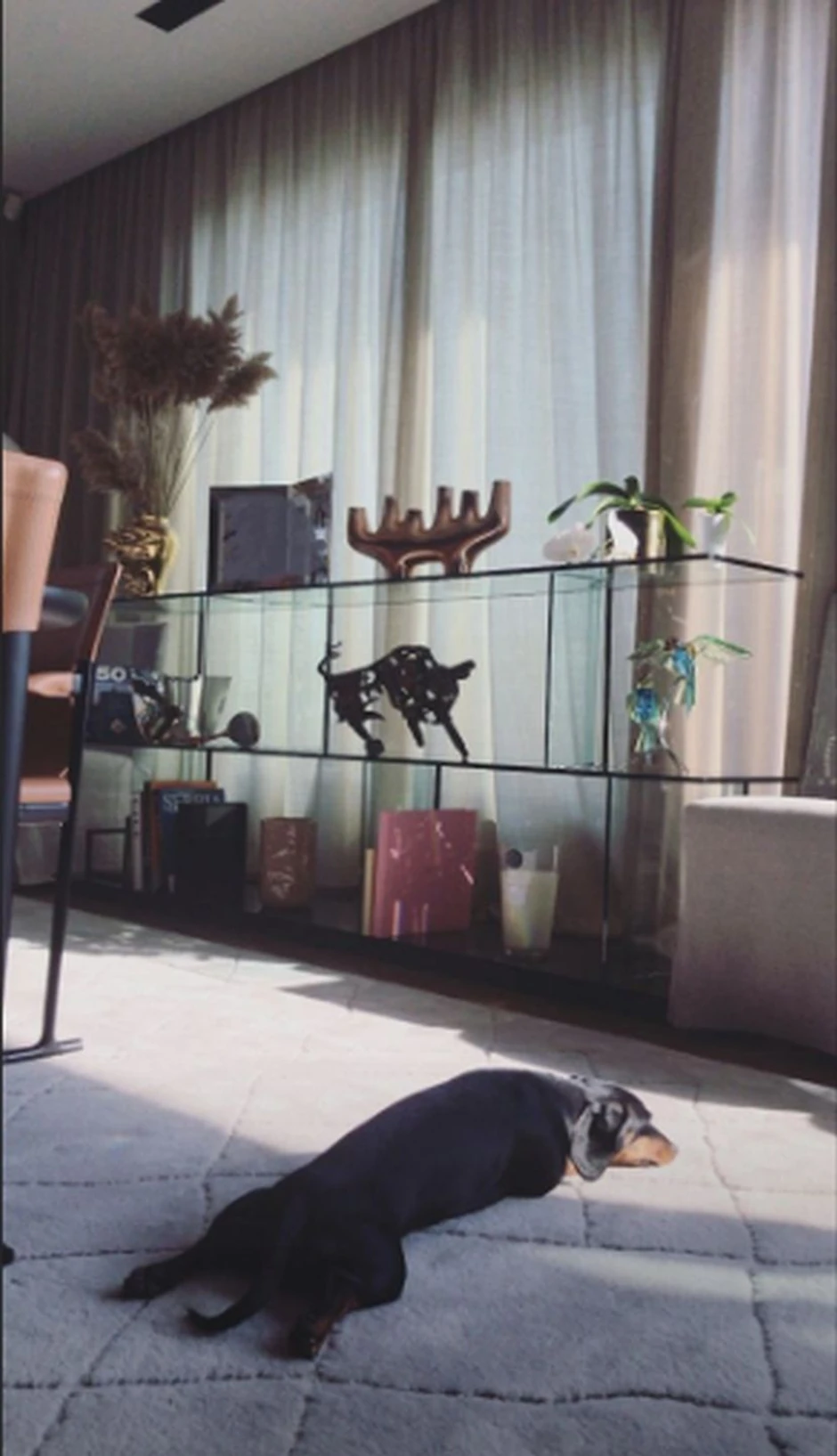 Jelisaveta Orašanin