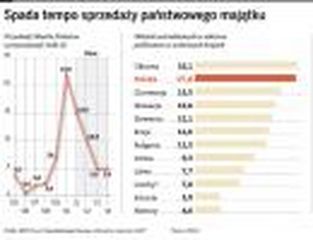 Spada tempo sprzedaży państwowego majątku