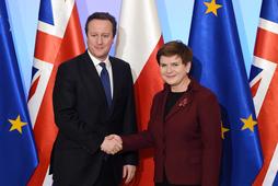 David Cameron, Beata Szydło