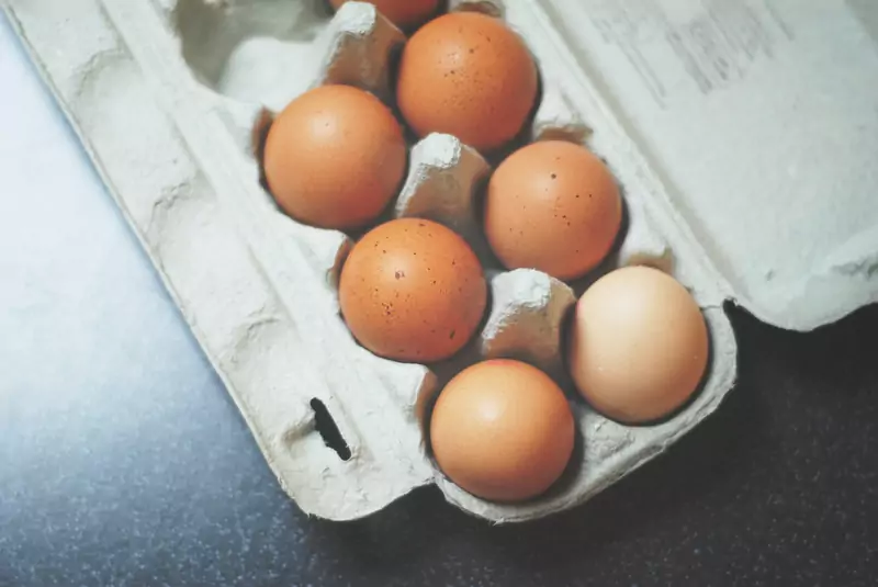 W przemyśle jajczarskim koguciki są niepotrzebne