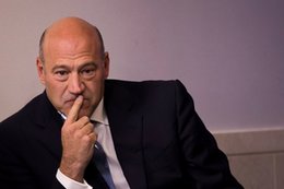 Democratic senator: Gary Cohn faked a bad connection to get Trump off the phone with Democrats