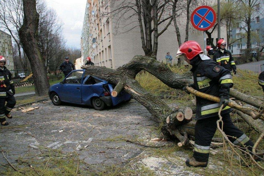 Drzewo zmiażdżyło samochód. O krok od tragedii