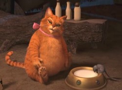 Zobacz, jak się spasł kumpel Shreka